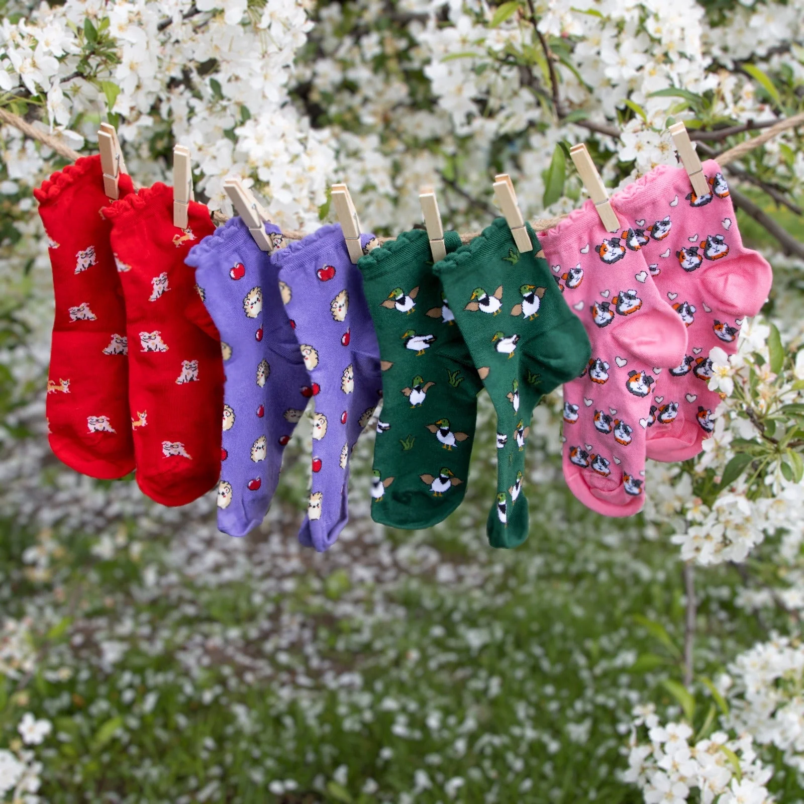 Ultimate Bamboo Ankle Socks - Happy Feet 4 Pair Bundle - Image 10
