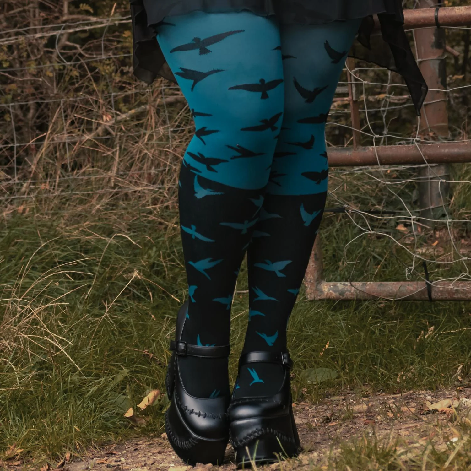 The Birds 80 Denier Tights - Aurora